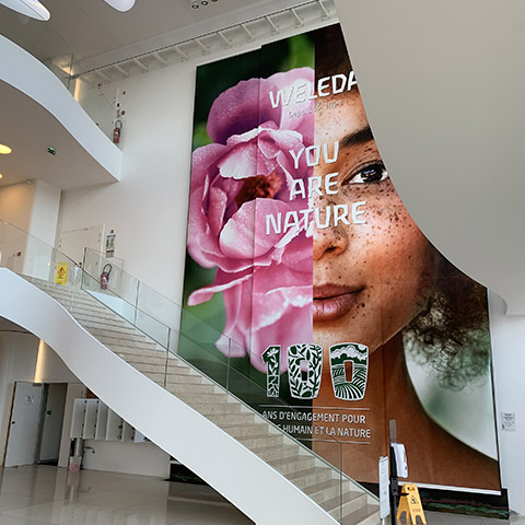 portfolio local_professionnel